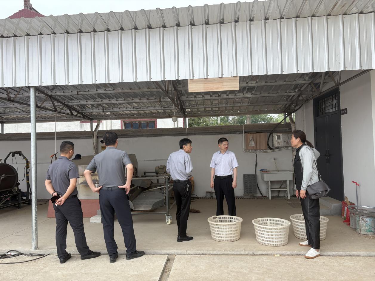 杏花村街道商会组织会员走访乌沙小花生生产基地