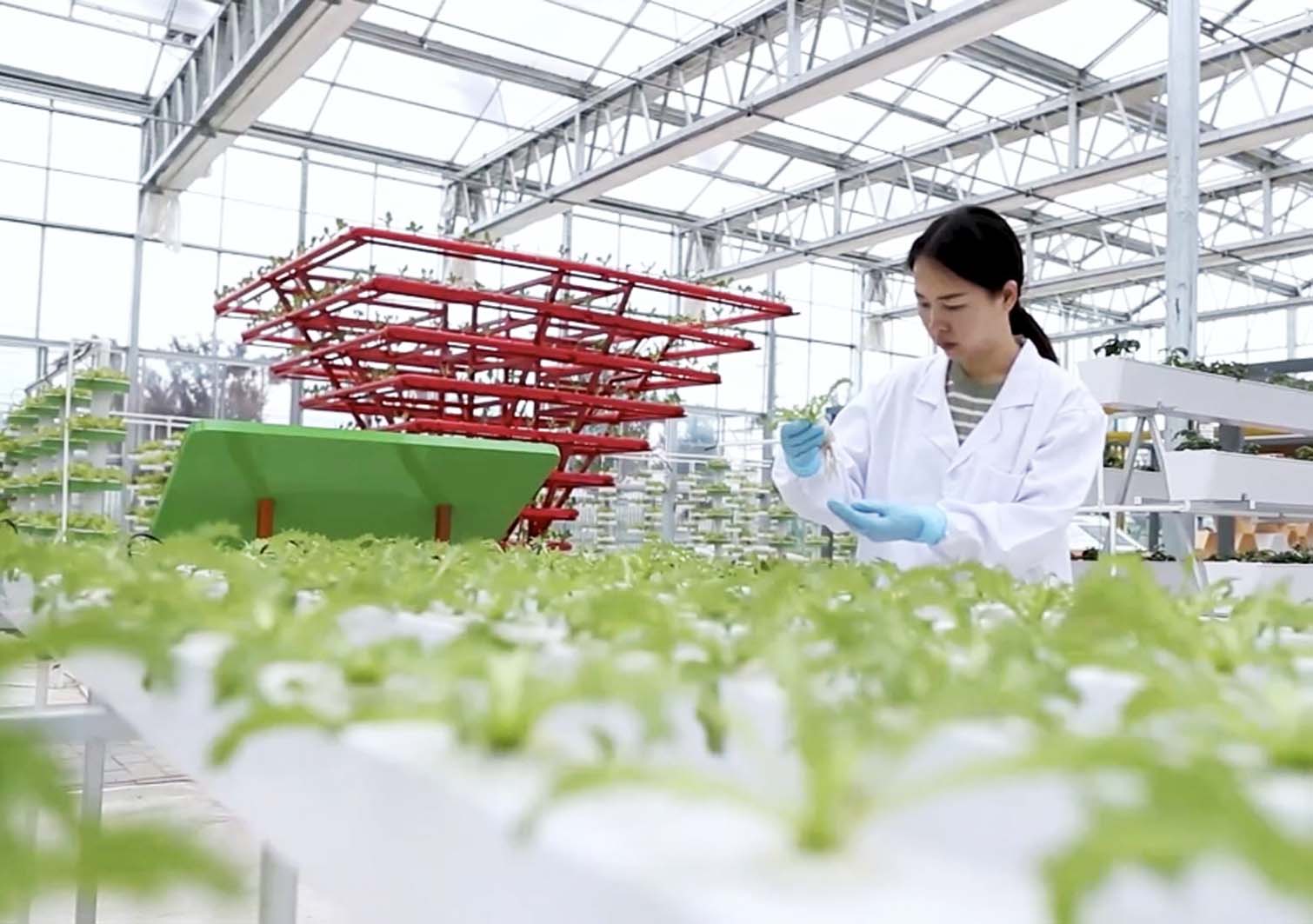 金华市恒信招标代理有限公司关于金华市农业技术推广与种子管理中心生产障碍耕地治理项目-物资采购的公开招标公告
